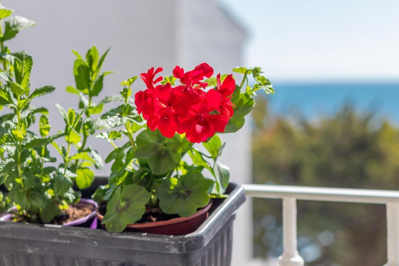 Luz De Altea Apartman Kültér fotó